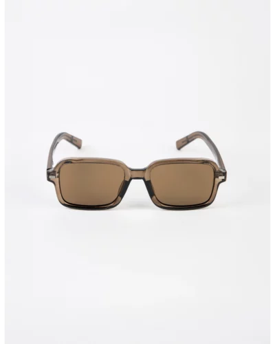 Stella + Gemma Trans Brown Bobby Sunnies